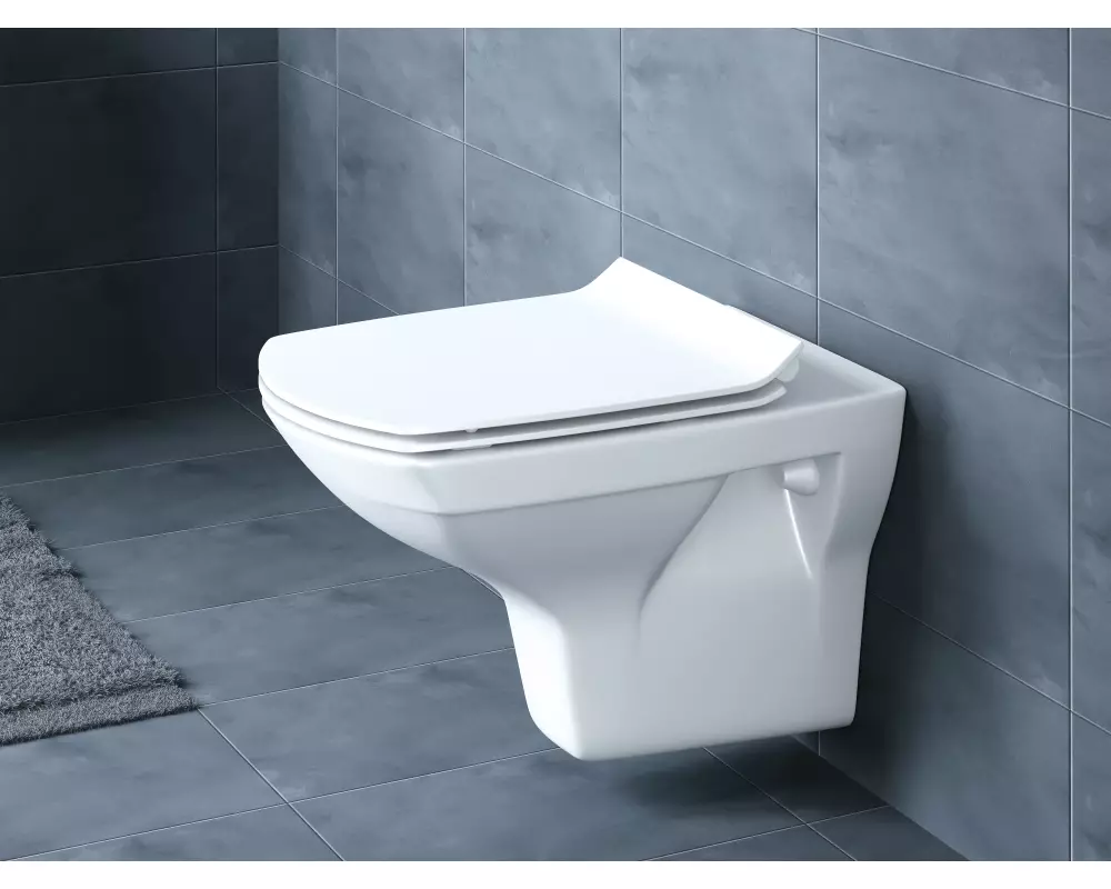 Сиденье для унитаза CARINA DPL EO slim