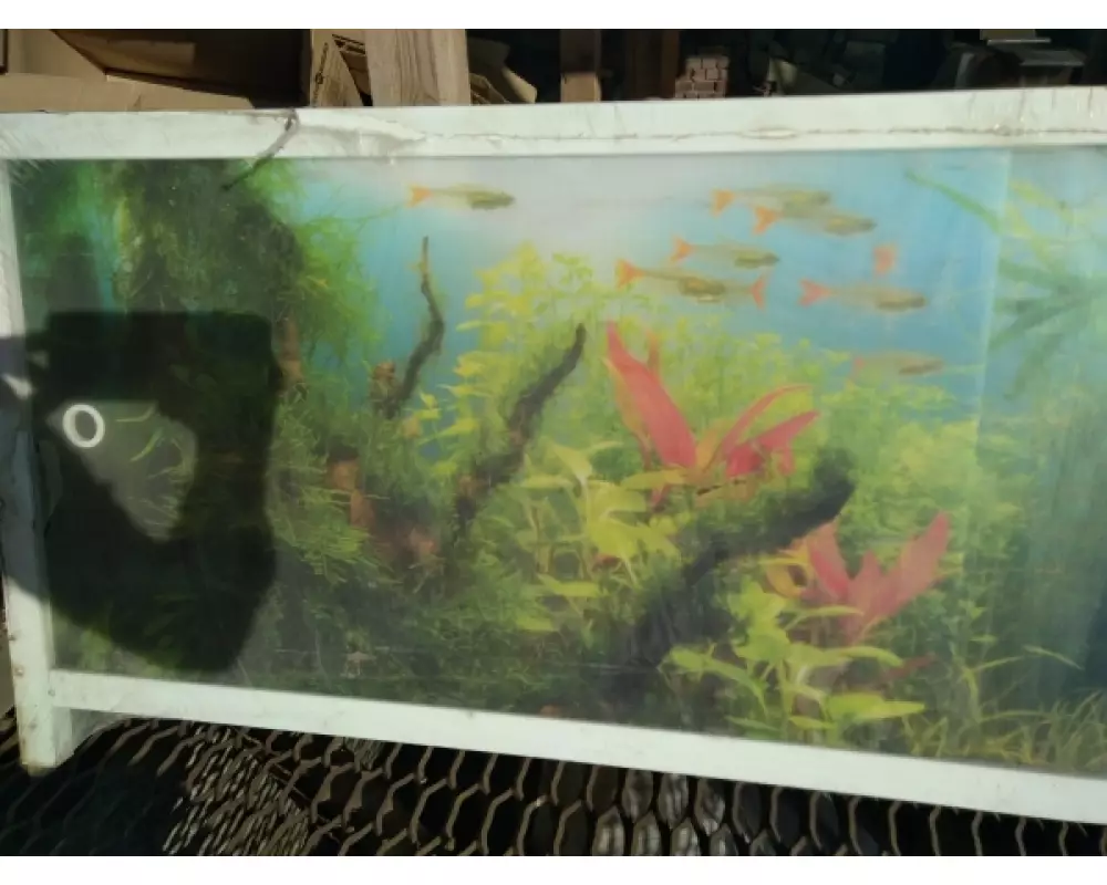 Экран под ванну «Ультра легкий Арт» Золотые рыбки - 1680 мм